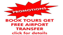 free airport transfer